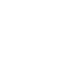 Logo | Fundación Starlight